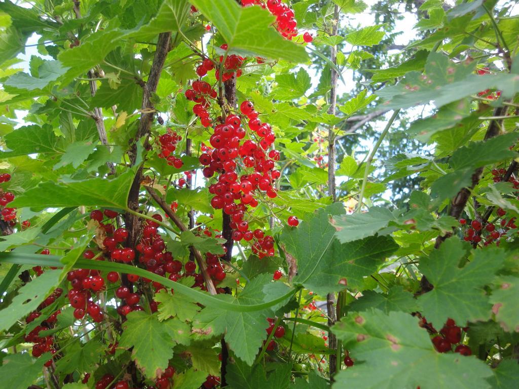 Farm Inn Anima No Sato Abashiri Zewnętrze zdjęcie