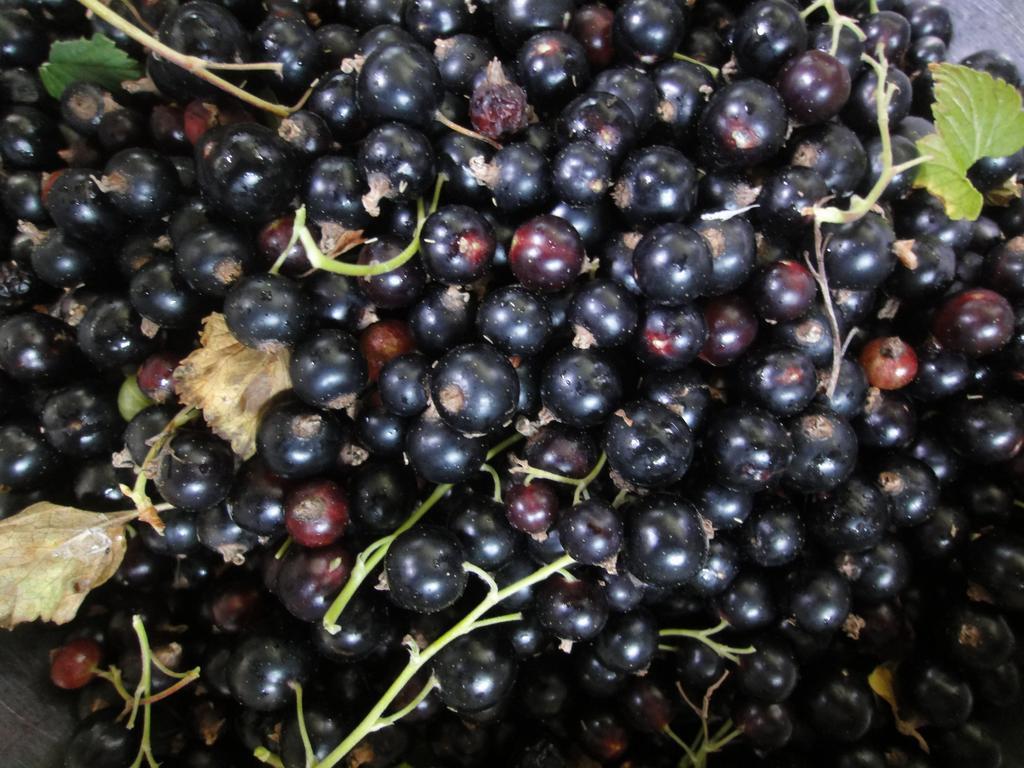 Farm Inn Anima No Sato Abashiri Zewnętrze zdjęcie